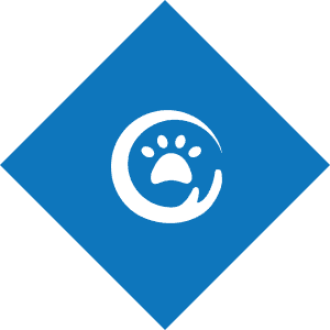 Animal paw emblem on blue background