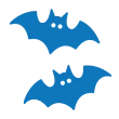 Bat Bugs and Secondary Pest Issues